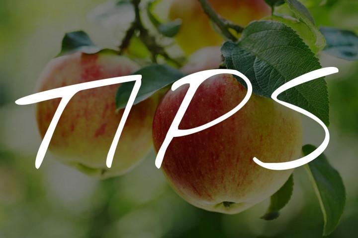 img-apples-tips