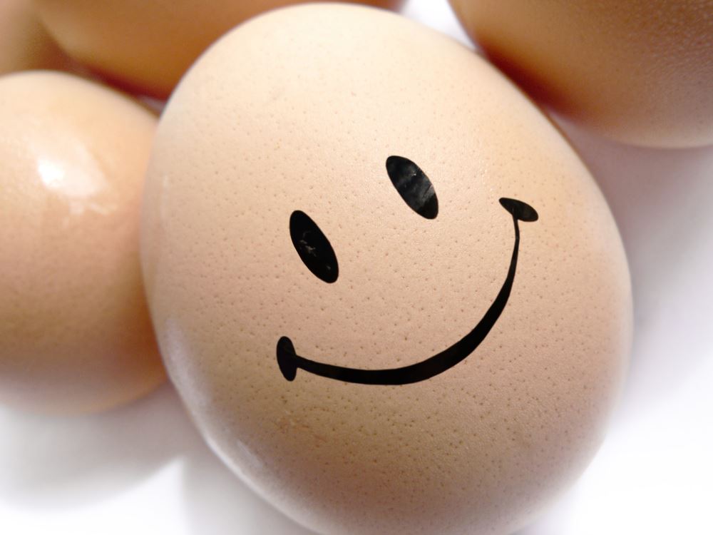 Глупые яйца. Веселые яйца. Яичко с улыбкой. Яйцо с улыбкой. Яйцо улыбается.